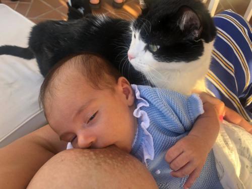 15-200710 PILI-3 NO SUBO