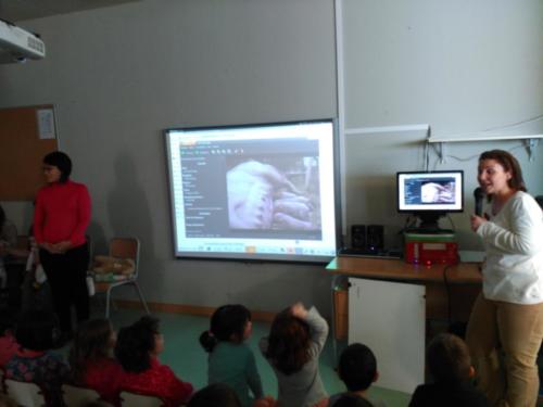 Infantil Benagéber 2016-1