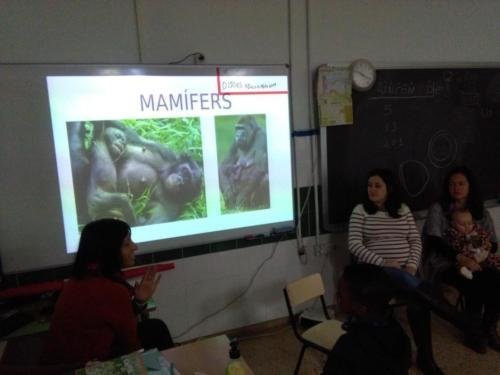 Primaria Benimámet 2019-3